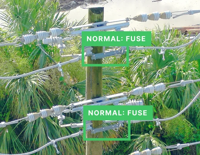 Fuse Status Inspection