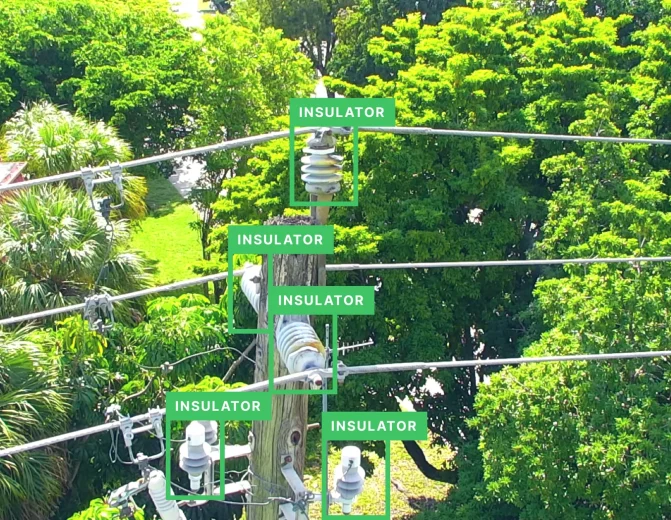 Insulator Condition Inspection