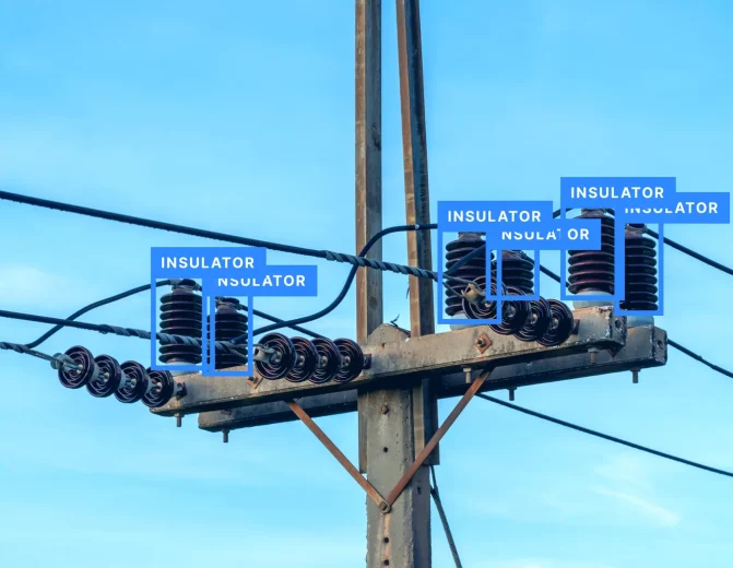 Insulator Condition Inspection