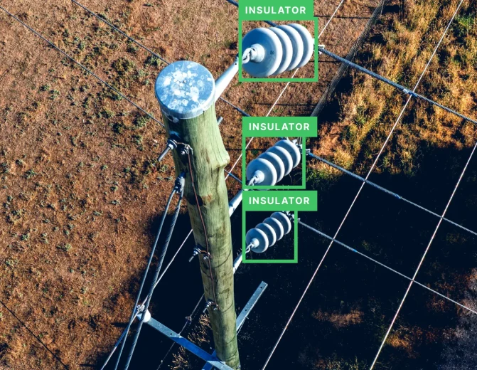Insulator Condition Inspection