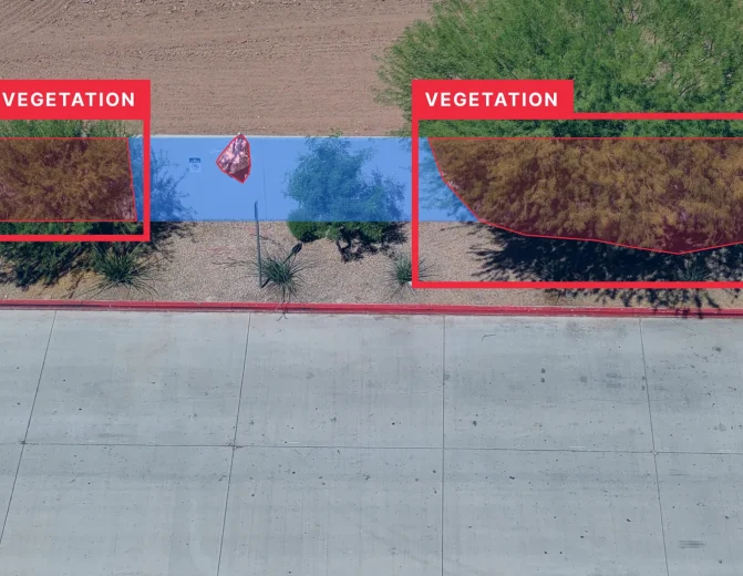 Perimeter Inspection: Vegetation