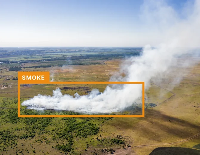 Smoke Detection