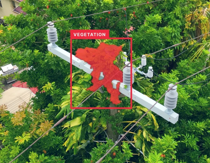 Utility Pole Vegetation Encroachment