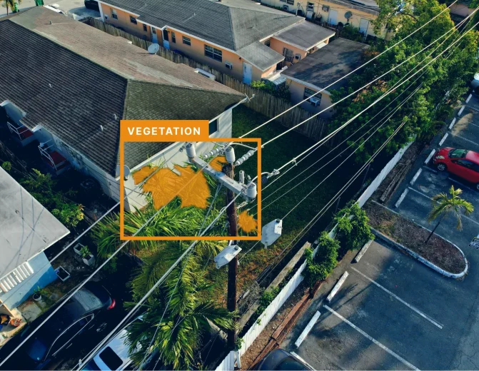 Utility Pole Vegetation Encroachment