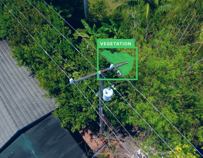 Utility Pole Vegetation Encroachment