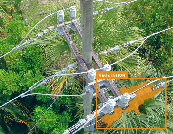 Utility Pole Vegetation Encroachment