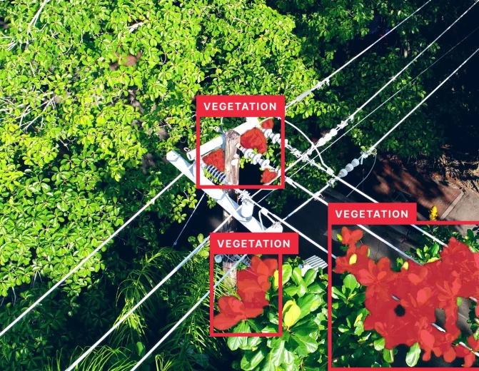 Utility Pole Vegetation Encroachment