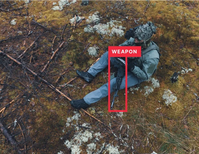 Weapons Detection